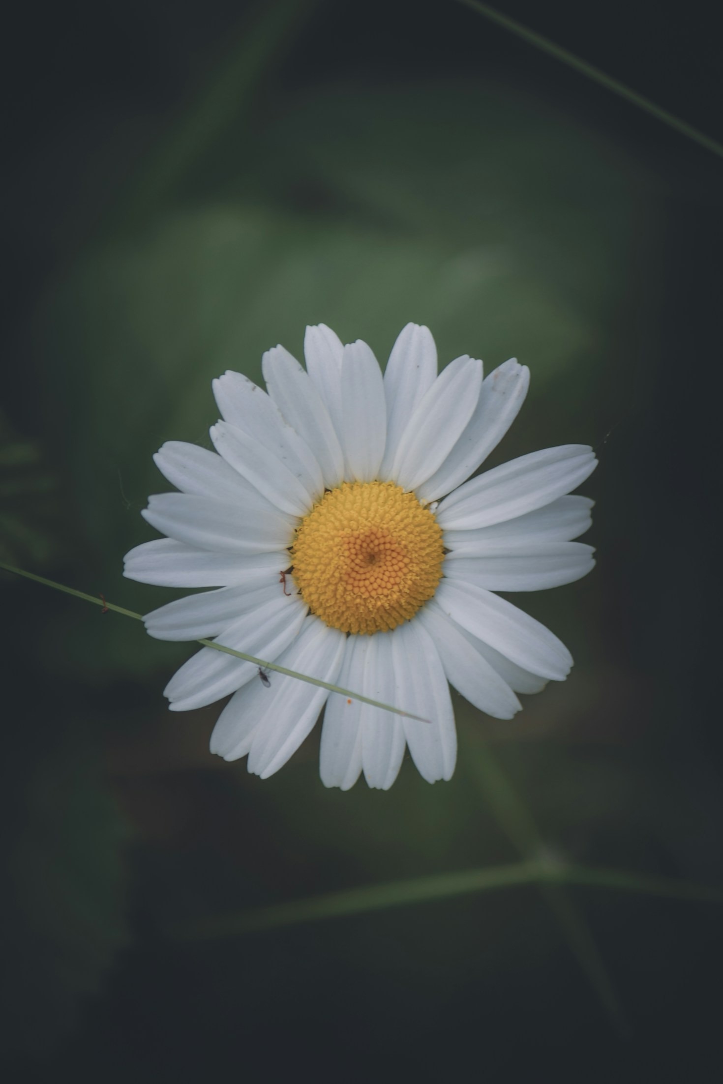Beautifying Manursing Way: A Collective Effort