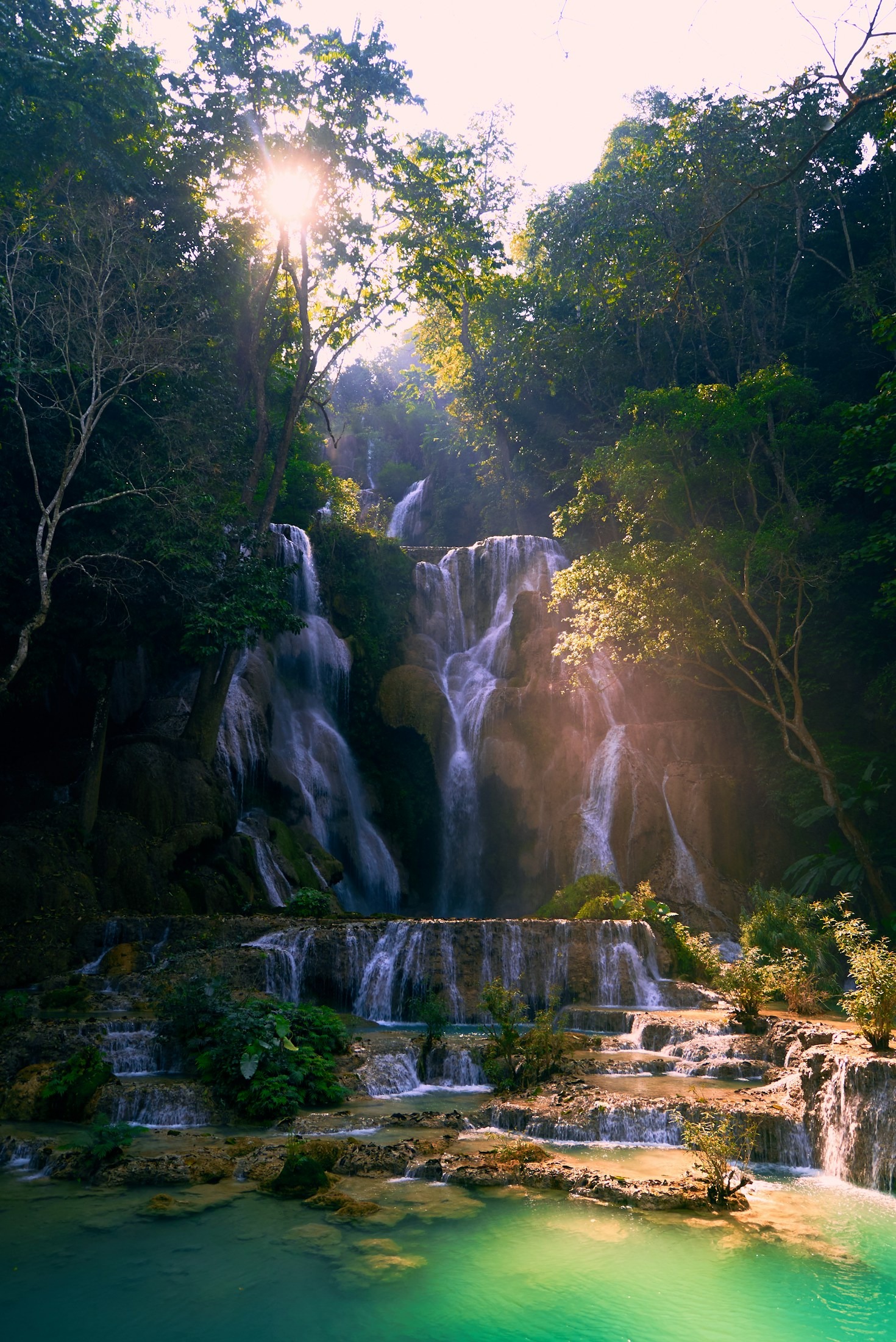 Tips for Supporting Local Environmental Causes